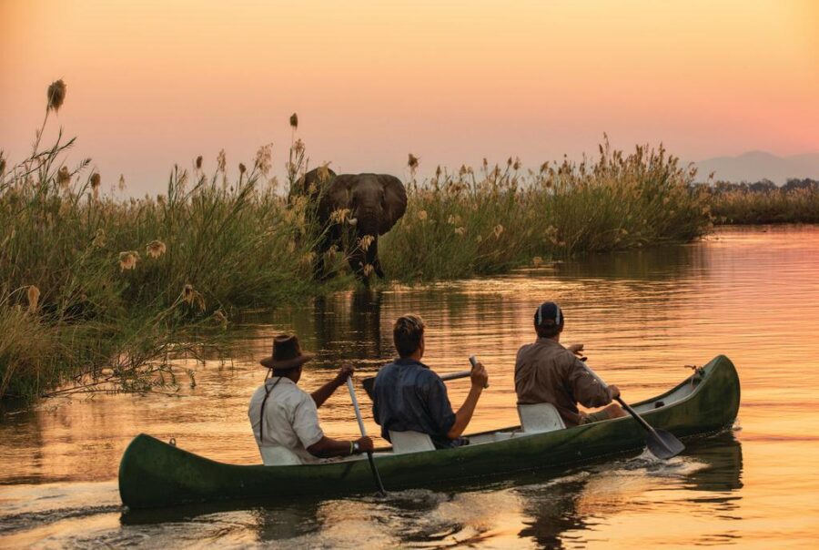 © Tembo Plains Camp Mana Pools © Tembo Plains Camp Mana Pools