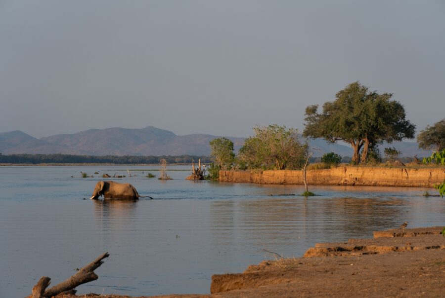 © Nyamatusi Mahogany