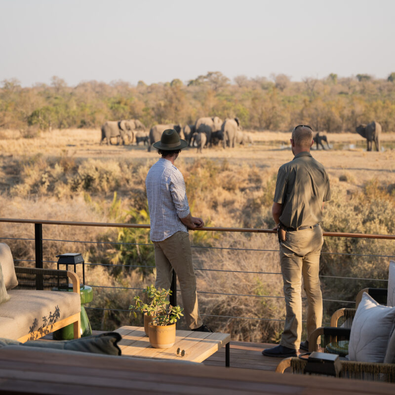 Simbambili Game Lodge – Sabi Sand Game Reserve, South Africa 1