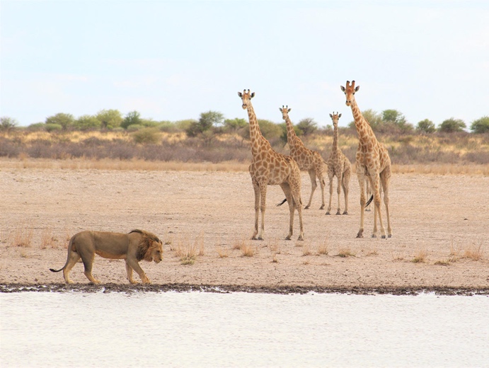 zim kalahari Great Tsau Hill